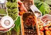 Sabores de Santa Catarina: 12 produtos têm Indicação Geográfica reconhecida