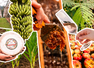 Sabores de Santa Catarina: 12 produtos têm Indicação Geográfica reconhecida