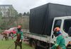 Grande Efapi recebe roçada, limpeza de bueiros e conserto de placas nesta semana