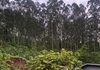 Deslizamento de terra atinge residência e provoca interdição de imóvel em Seara