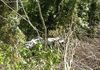 Carro cai em ribanceira na descida para Paial em Chapecó