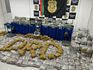 Polícia Civil apreende cerca mais de meia tonelada de drogas em casa usada como depósito em SC