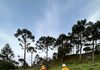 VÍDEO: CBMSC amplia buscas por helicóptero desaparecido na Serra catarinense