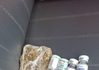 PM apreende maconha e medicamentos contrabandeados durante abordagem na BR-282