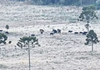 Nova massa de ar polar derruba temperaturas em SC e traz chance de neve no feriado