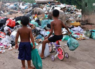 Senado aprova ECA Ambiental e garante prioridade a crianças e adolescentes em políticas ambientais