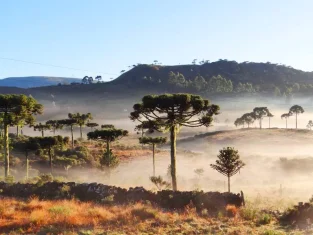 Temperaturas chegam a -1,7°C em Santa Catarina neste domingo