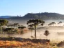 Temperaturas chegam a -1,7°C em Santa Catarina neste domingo