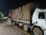 PF apreende 1.200 caixas de vinho argentino escondidas em caminhão na fronteira com SC
