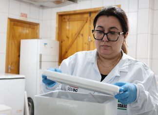 Mais de 350 propriedades são vistoriadas após confirmação de Doença de Newcastle no Oeste de SC