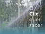 O Clic Quer Saber se os poderes públicos estão preparados para a temporada de chuvas em SC