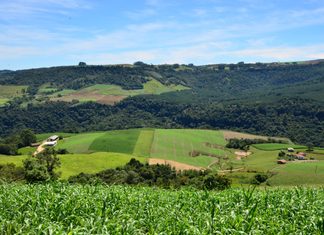 Agricultores e pescadores podem apresentar projetos para receber apoio do SC Rural 2