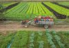 Governo de SC amplia limite de créditos de ICMS para produtores rurais