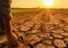 El Niño: Embrapa orienta produtores para excesso de chuva no Sul e seca em outras regiões