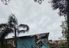 Araucária cai sobre casa durante temporal e atinge quarto em Campos Novos