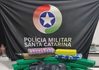 Homem é preso com quase 18 quilos de maconha após denúncia de tráfico em Chapecó