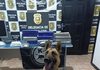 Polícia Civil apreende 10,7 kg de maconha e prende suspeito por tráfico no oeste