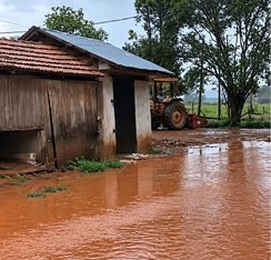 Chuva alaga currais e deixa vacas e bezerros em meio à água no Paraná