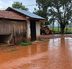 Chuva alaga currais e deixa vacas e bezerros em meio à água no Paraná