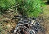 Motocicleta fica completamente destruída após incêndio no Oeste de SC