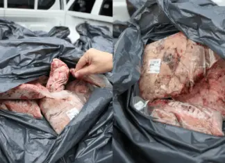 Açougue em SC tem 170 kg de carnes apreendidos