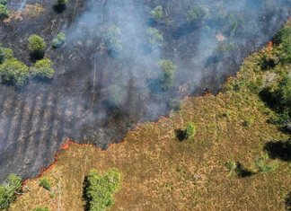 Desmatamento na Amazônia atinge menor nível da série histórica em 2025, aponta MapBiomas