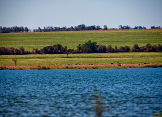 SC Rural 2 abre seleção com R$ 21,9 milhões para agricultores e pescadores de SC